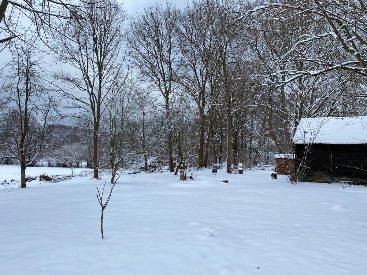 Ferienhaus Mittelmuhle Daire Teupitz Dış mekan fotoğraf