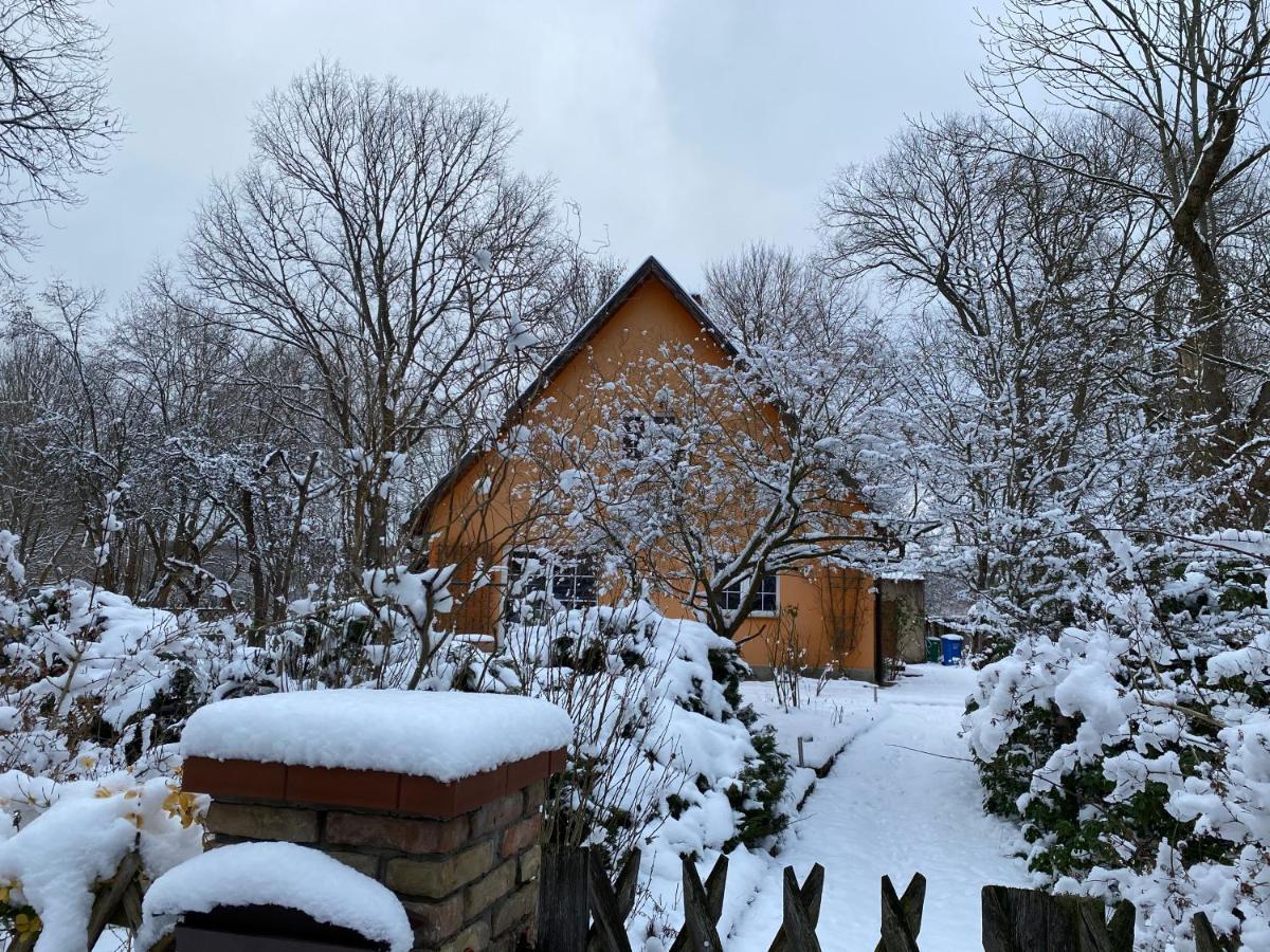 Ferienhaus Mittelmuhle Daire Teupitz Dış mekan fotoğraf