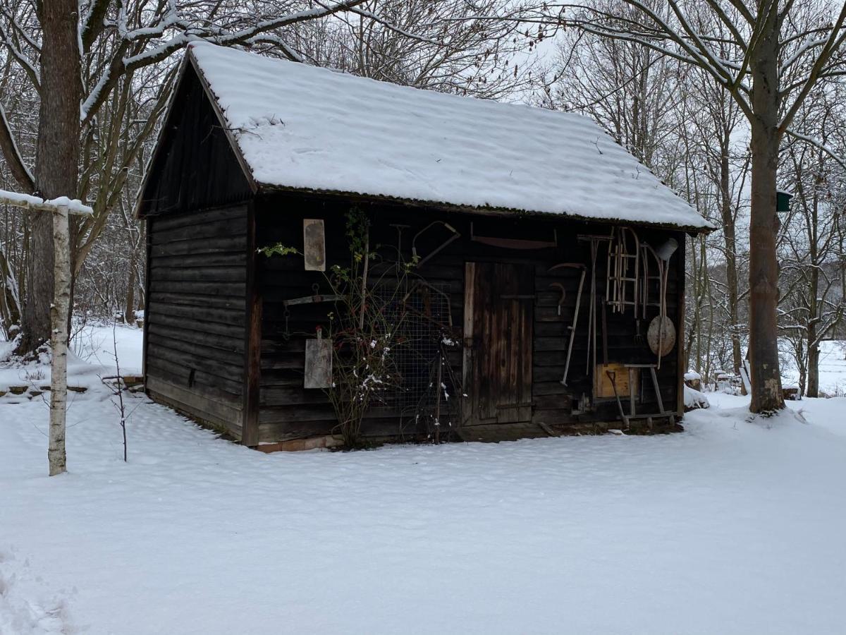 Ferienhaus Mittelmuhle Daire Teupitz Dış mekan fotoğraf